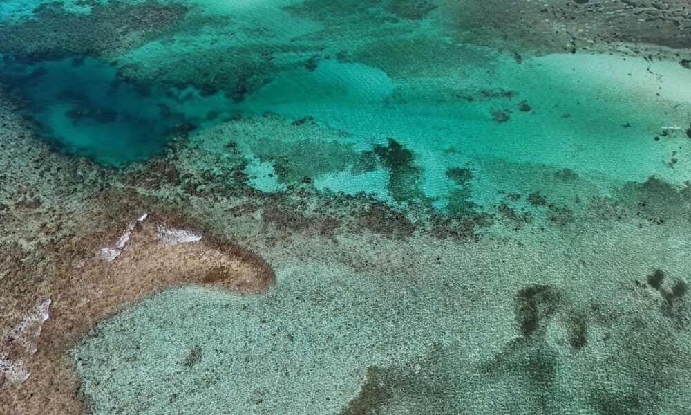 bacalar