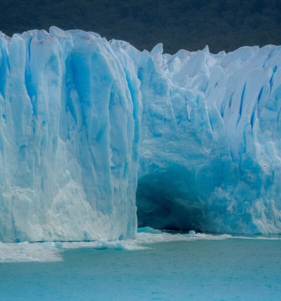 What Is Ice Blue Color? The Ultimate Guide to 2026's Most Trending Shade