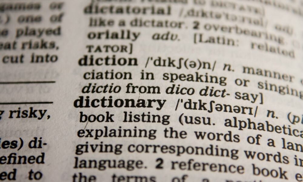 lp meaning