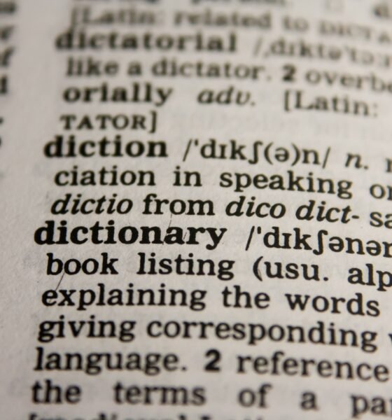 lp meaning