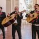 mariachi instruments mariachi instruments